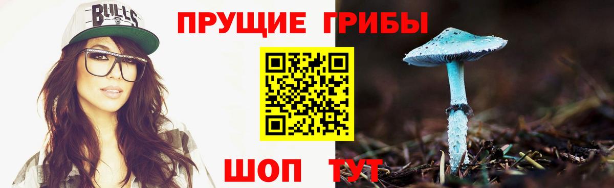 Галлюциногенные грибы ЛСД  Галлюциногенные грибы Cubensis  Вход с VPN  Шадринск 